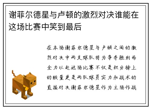 谢菲尔德星与卢顿的激烈对决谁能在这场比赛中笑到最后