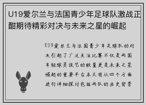 U19爱尔兰与法国青少年足球队激战正酣期待精彩对决与未来之星的崛起