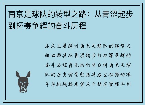 南京足球队的转型之路：从青涩起步到杯赛争辉的奋斗历程