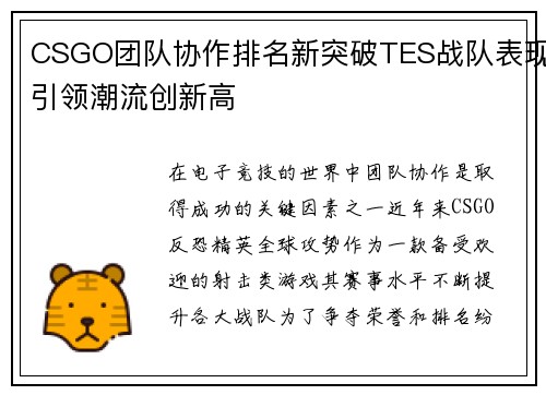 CSGO团队协作排名新突破TES战队表现引领潮流创新高